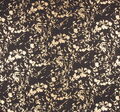 Cotton Voile #3