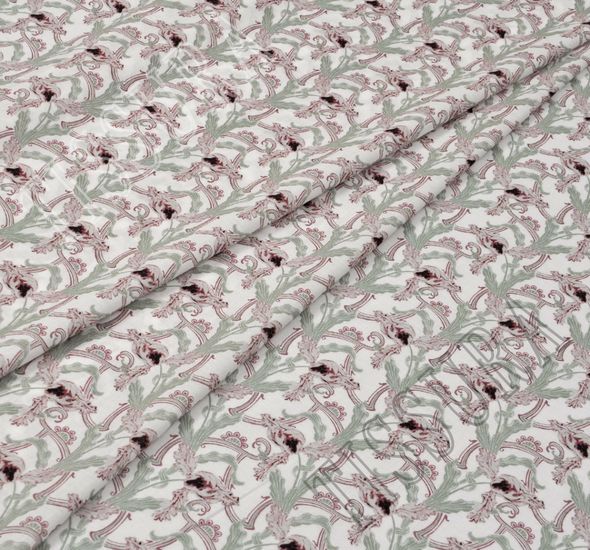 Cotton  #1