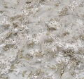 Swarovski Embroidered Tulle #4
