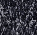 Feather Embroidered Tulle #3