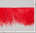 Ostrich Feather Trim #2