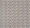 Cotton Poplin #3