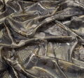 Silk Lame Chiffon #4