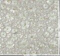 Floral Applique Embroidered Tulle #2