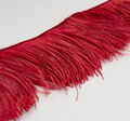 Ostrich Feather Trim #3