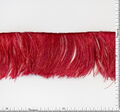 Ostrich Feather Trim #2