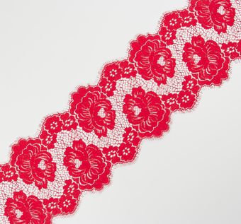 Corded Lace Trim #1