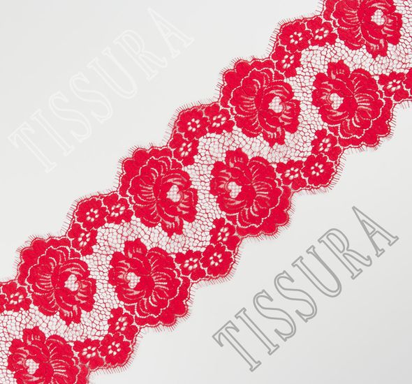 Corded Lace Trim #1
