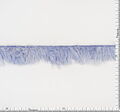 Ostrich Feather Trim #2