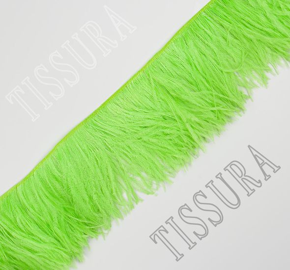 Ostrich Feather Trim #1