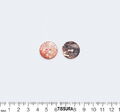 Mother of Pearl Buttons #2