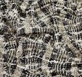 Tweed Boucle #3