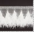 Embroidered Lace Trim #2