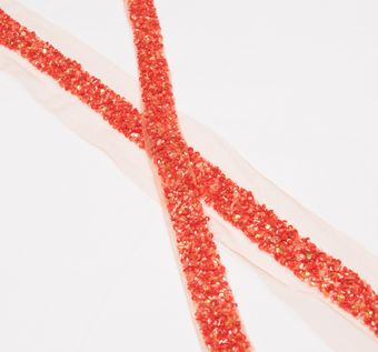 Embroidered Tulle Trim: 59% Off for Embroidered Trimmings from Italy by Ruffo Coli Embroidered Tulle Trim #1