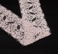 Embroidered Chantilly Lace Trim #3