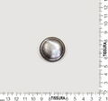 Mother of Pearl Buttons #2