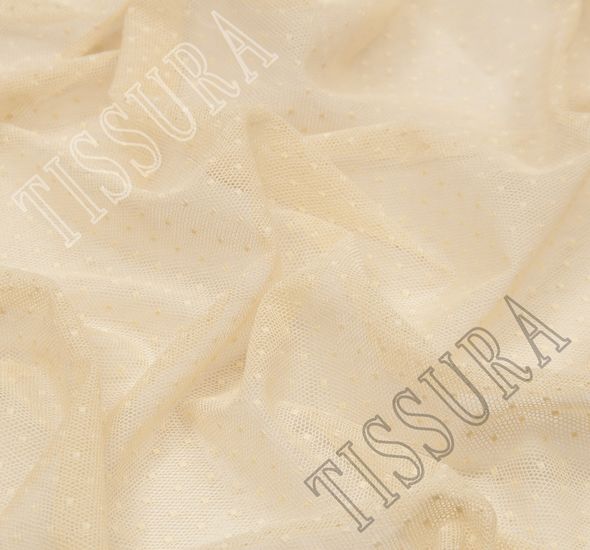 Point d'Esprit Tulle #1