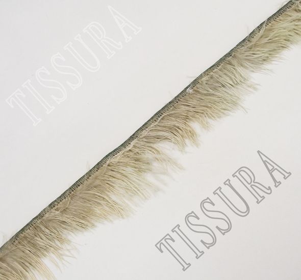 Ostrich Feather Trim #1