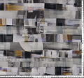 Organza #2