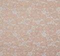 Lace Fabric #2