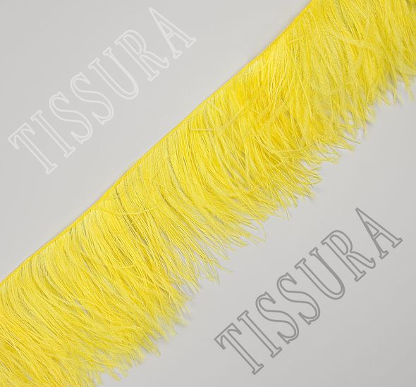 Ostrich Feather Trim #1