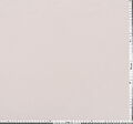 Shot Silk Taffeta #2
