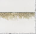 Ostrich Feather Trim #2