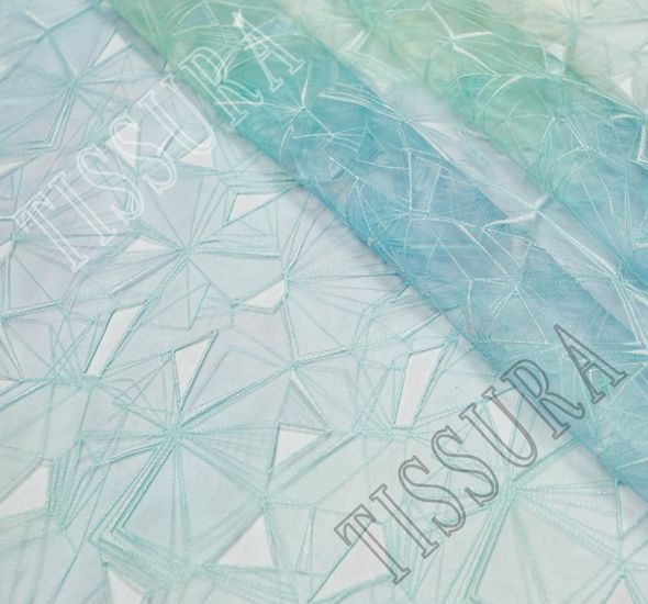 Ombre Embroidered Organza #1