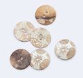 Mother of Pearl Buttons #2