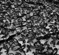 Corded Lace #4