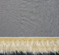 Faux Fur Fringed Tulle #3