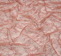 Chantilly Lace  #4