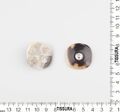 Horn Buttons #2