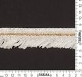 Fringed Trim #2