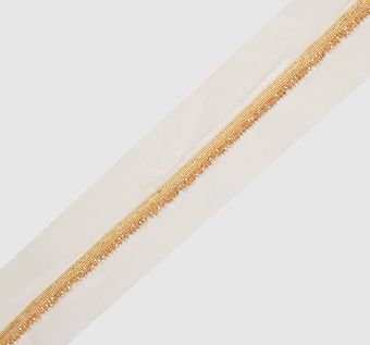 Embroidered Tulle Trim #1