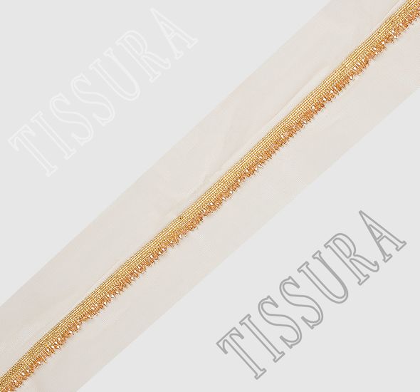 Embroidered Tulle Trim #1