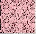 Guipure Lace #2