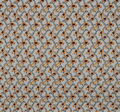 Cotton  #3