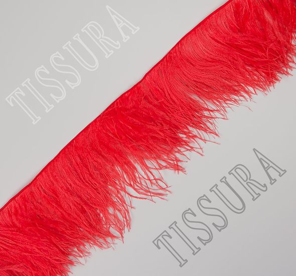 Ostrich Feather Trim #1