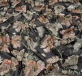 Silk Georgette #3