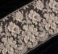 Corded Lace Trim #3