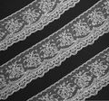 Chantilly Lace Trim #3