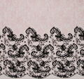 Embroidered Chantilly Lace #3
