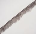 Ostrich Feather Trim #1