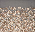 Jacquard Organza #2
