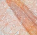 Ombre Embroidered Organza #1