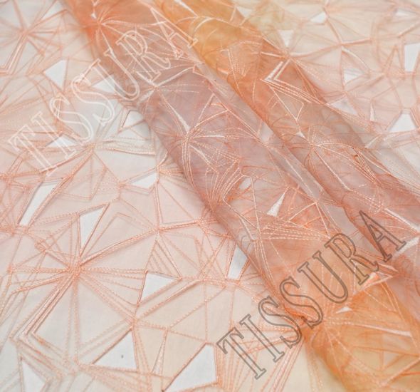 Ombre Embroidered Organza #1