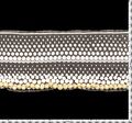 Sequin Ball Lace Trim #2