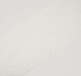 Chantilly Lace Trim #1