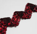 Embroidered Tulle Trim #3